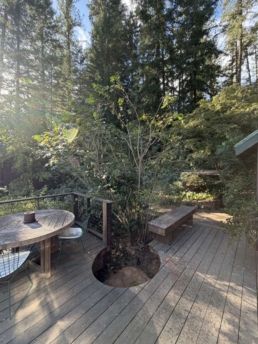 The deck after the fir came out: table and benches around the round opening where the tree stood