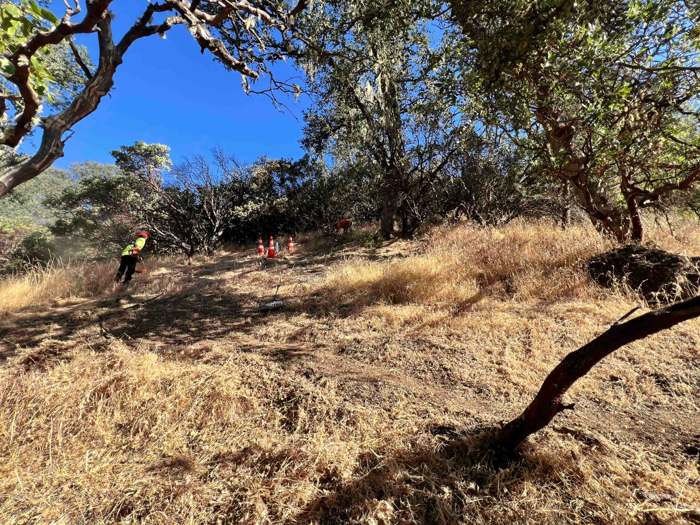 An R2 crew member cutting back dry grass on a hillside fire clearing job, cones set out under the oaks