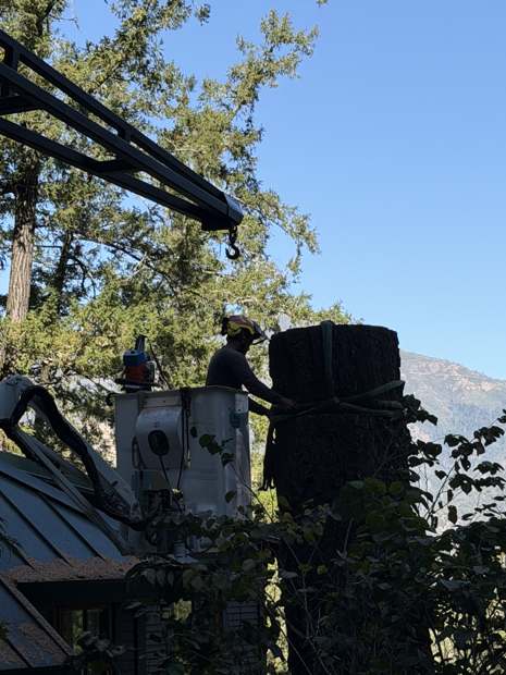 Two R2 crew in the lift basket cutting the top of a fir trunk, with the valley behind