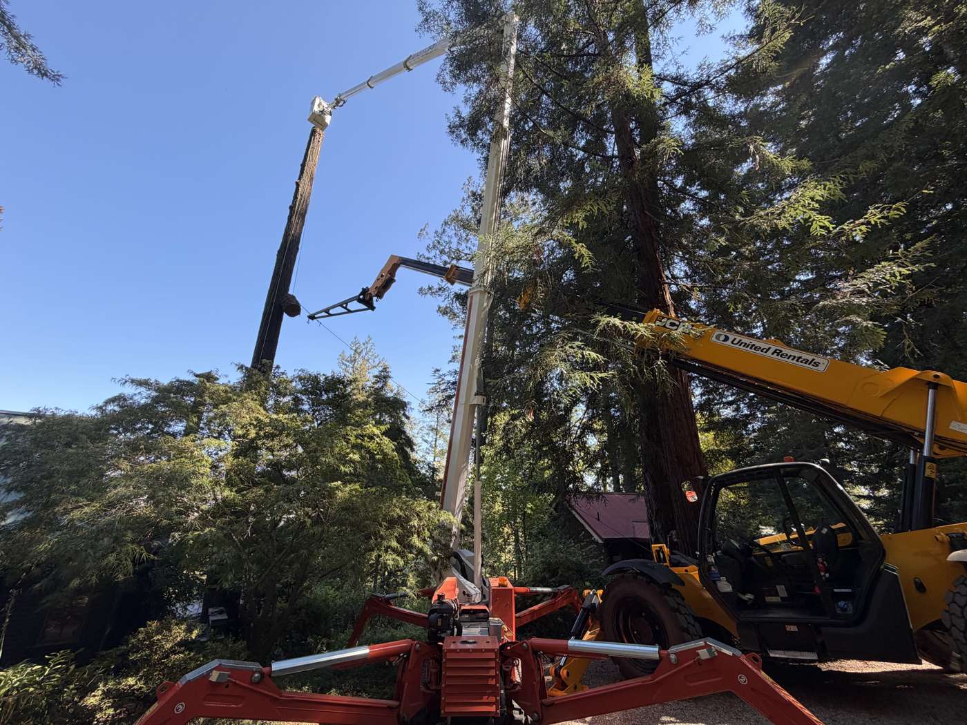 R2's tracked spider lift and a telehandler working on a tall fir beside a cabin in Calistoga