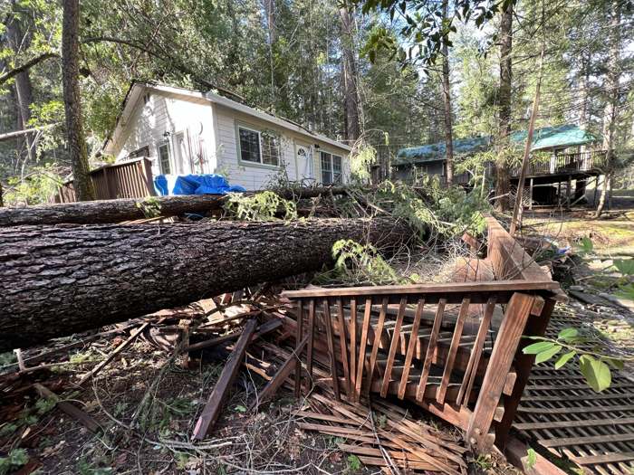 A fallen pine across a crushed deck railing beside a house
