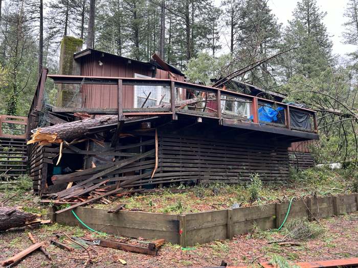 A big pine broken through the deck and front of a cabin after a storm
