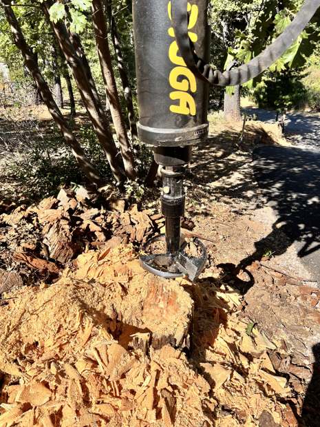 The stump planer shaving a stump down under a tree