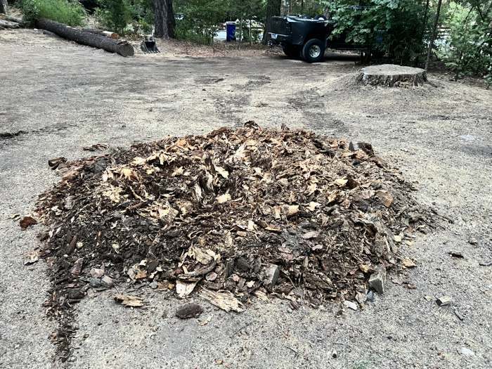 A stump taken out and left as a pile of shavings