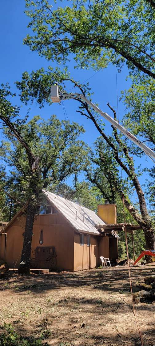R2's spider lift raised into tall trees over a small A-frame cabin